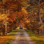 Best Day Trips From Toronto